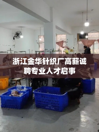浙江金华针织厂高薪诚聘专业人才启事