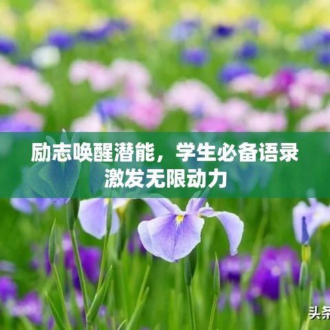 励志唤醒潜能，学生必备语录激发无限动力