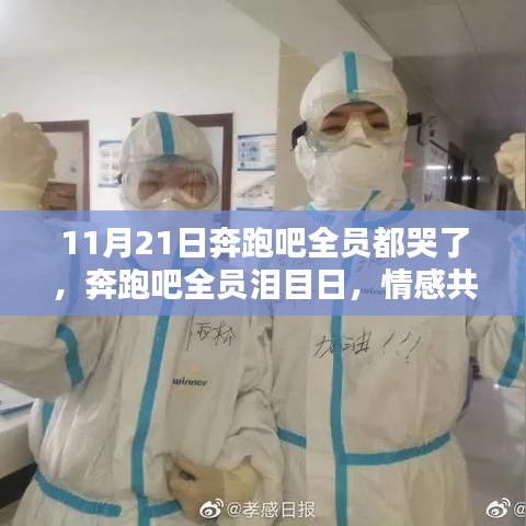 第3394页