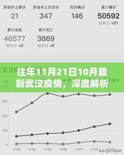 往年11月21日武汉疫情深度解析，最新动态与影响探讨