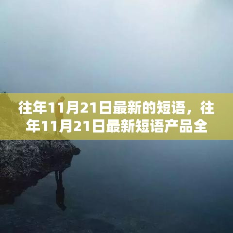 往年11月21日最新短语产品评测与介绍，全面解析及深度体验分享