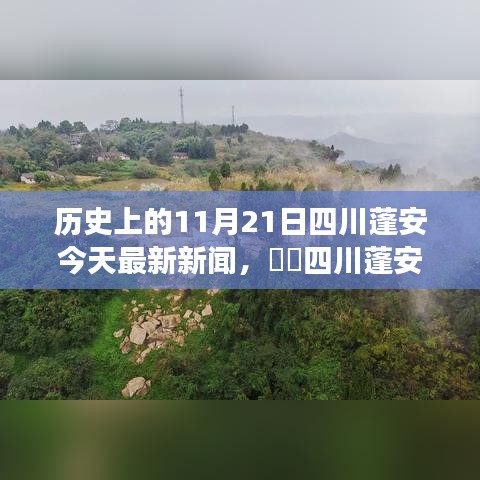 投影仪 第498页