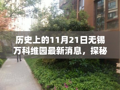 揭秘历史时刻，无锡万科维园最新动态与小巷独特风情探索纪实（11月21日更新）