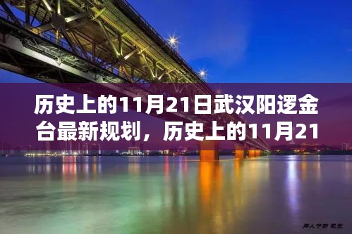 历史上的11月21日武汉阳逻金台最新规划，历史上的11月21日，武汉阳逻金台新规划揭秘