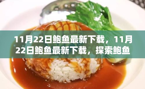 11月22日鲍鱼最新下载，探索犯罪边缘的鲍鱼下载新世界