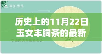 历史上的11月22日，玉女丰胸茶掀起热议的最新评论回顾