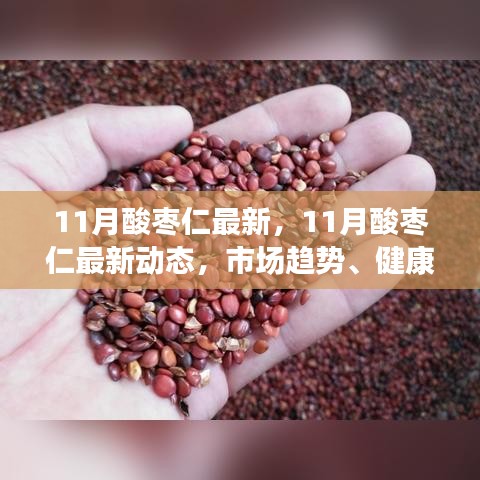 11月酸枣仁最新动态及市场趋势、健康价值与应用前景展望