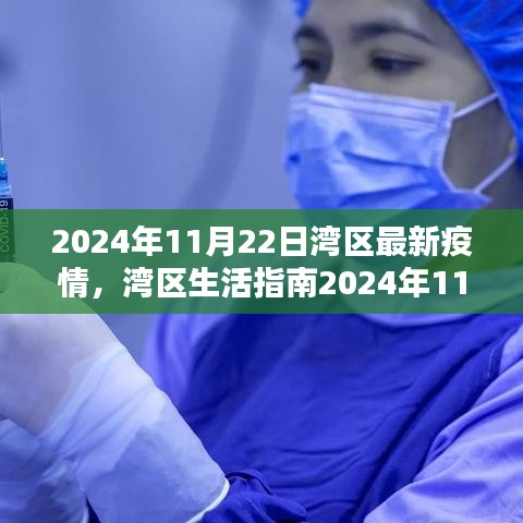 湾区生活指南，2024年11月22日湾区疫情应对全面指南——从初学到进阶