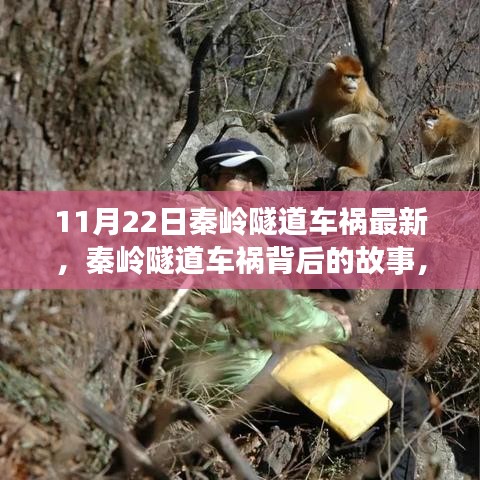 森久 第35页