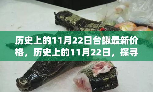 平板电脑 第473页