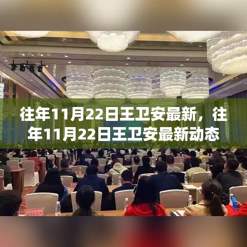 聚焦王卫安成长与贡献，历年11月22日最新动态回顾