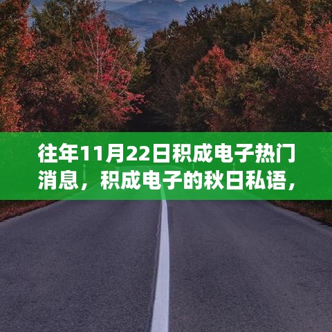 积成电子秋日私语，与自然美景的邂逅之旅，历年消息回顾