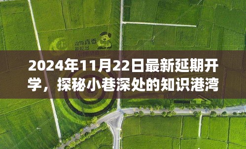 探秘小巷深处的知识港湾，揭秘延期开学背后的故事与独特小店之旅