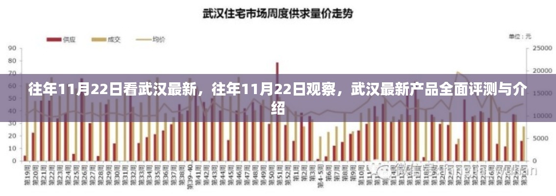 武汉最新产品评测与介绍，历年11月22日的观察与发现