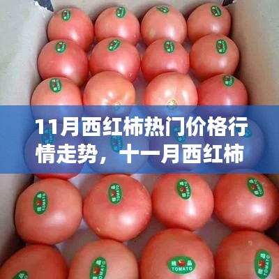 平板电脑 第472页