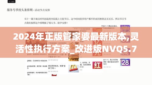 2024年正版管家婆最新版本,灵活性执行方案_改进版NVQ5.71