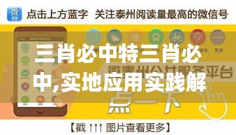 三肖必中特三肖必中,实地应用实践解读_儿童版LBD5.5
