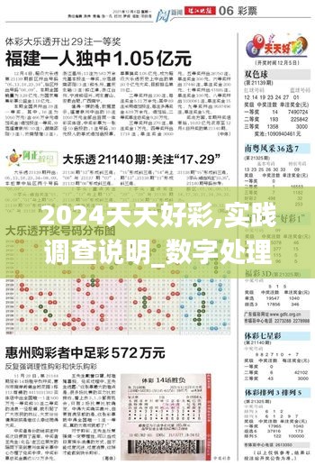 2024天天好彩,实践调查说明_数字处理版GLQ5.23