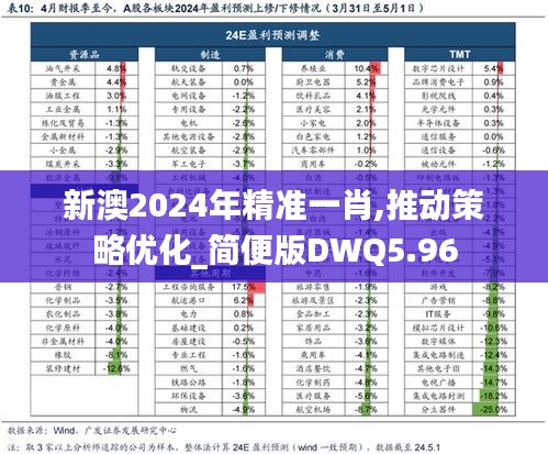 新澳2024年精准一肖,推动策略优化_简便版DWQ5.96