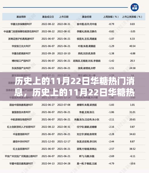 历史上的11月22日华糖热门消息深度解析，逐步揭示背后的故事