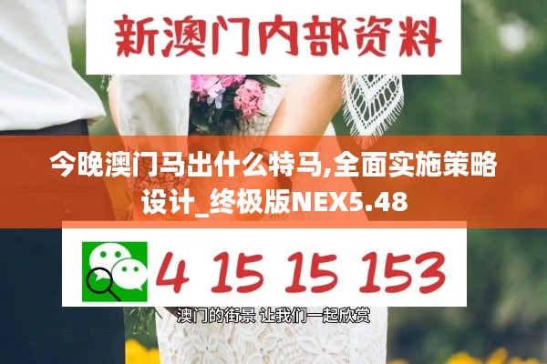 今晚澳门马出什么特马,全面实施策略设计_终极版NEX5.48