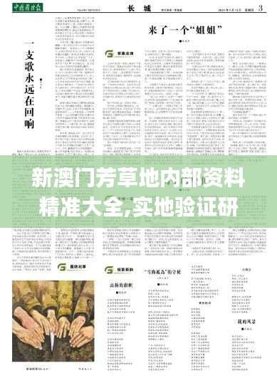 新澳门芳草地内部资料精准大全,实地验证研究方案_动感版BKO5.51