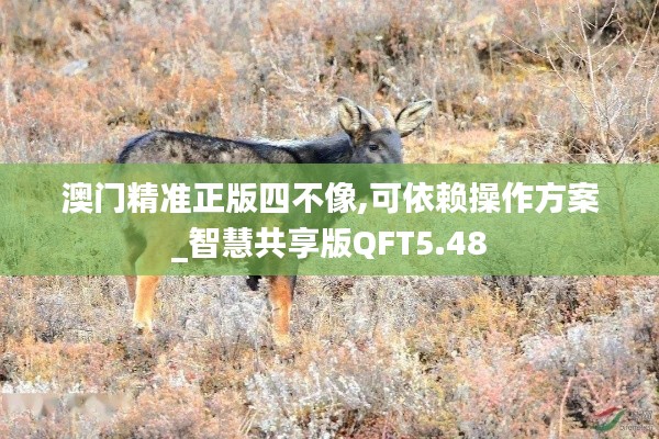 澳门精准正版四不像,可依赖操作方案_智慧共享版QFT5.48