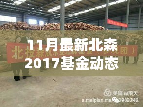 揭秘北森基金新动态下的隐藏特色小店，小巷深处的魅力探访
