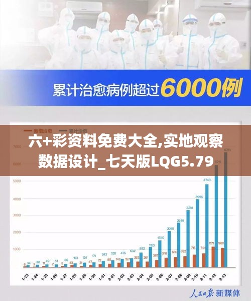 六+彩资料免费大全,实地观察数据设计_七天版LQG5.79