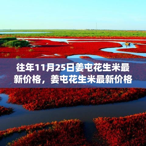 姜屯花生米最新价格与市场走势分析，深度探析市场波动下的价格走势及趋势预测