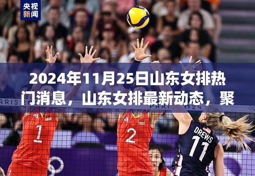 山东女排最新动态，聚焦2024年11月25日热门消息