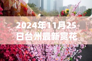 2024年11月25日台州赏花指南，探寻最新赏花胜地