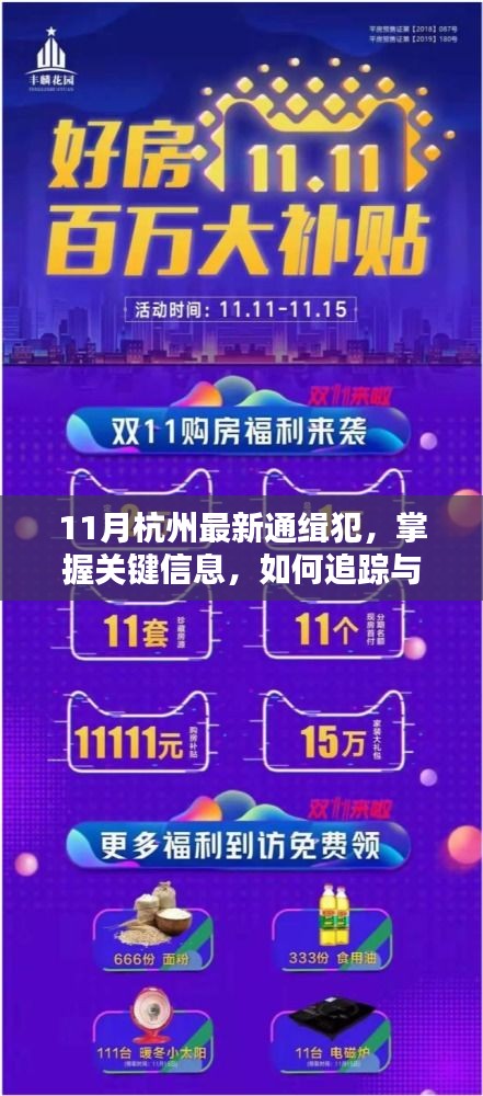 11月杭州最新通缉犯全面追踪与防范指南