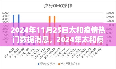 2024年太和疫情热门数据消息解读与分析指南
