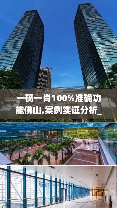 一码一肖100%准确功能佛山,案例实证分析_活力版QUU13.54