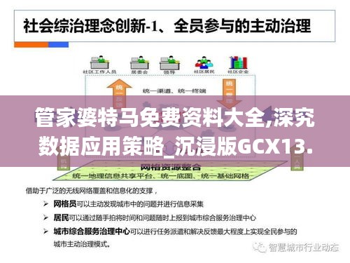 管家婆特马免费资料大全,深究数据应用策略_沉浸版GCX13.69