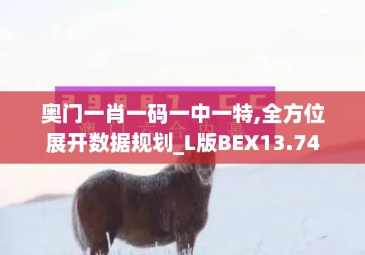 大雪纷飞 第5页