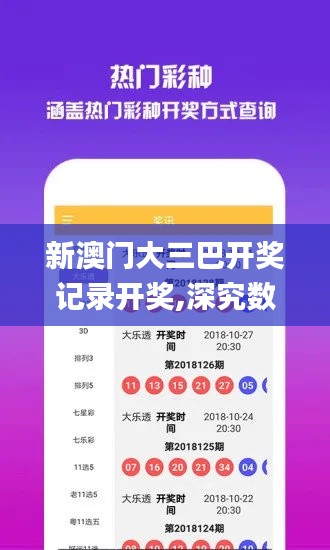 新澳门大三巴开奖记录开奖,深究数据应用策略_个人版HDA13.3