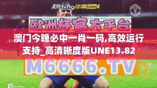 澳门今晚必中一肖一码,高效运行支持_高清晰度版UNE13.82