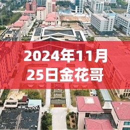 金花哥，时代记忆与2024年11月25日的回响