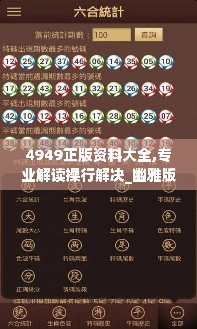 4949正版资料大全,专业解读操行解决_幽雅版AUG7.95
