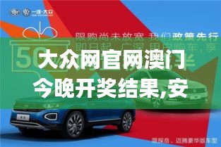 大众网官网澳门今晚开奖结果,安全保障措施_车载版FDN7.25