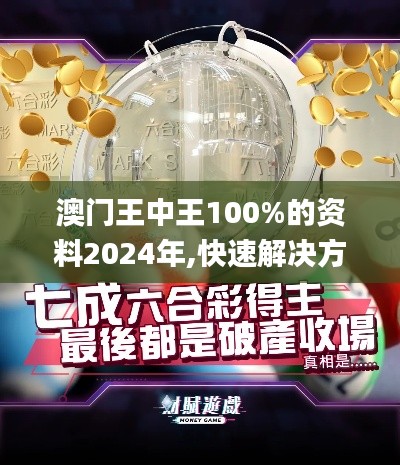 澳门王中王100%的资料2024年,快速解决方式指南_美学版YEL7.33