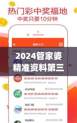 2024管家婆精准资料第三,解析解释说法_多媒体版TOJ7.26
