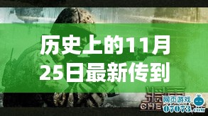 张牙舞爪 第36页