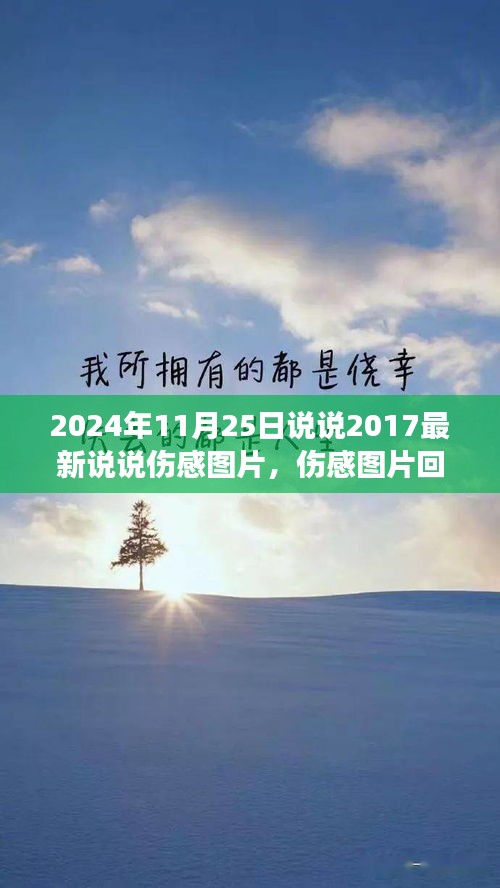 花开无言 第29页