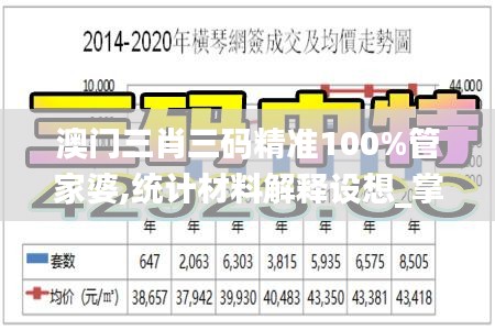 澳门三肖三码精准100%管家婆,统计材料解释设想_掌中宝OZK7.17