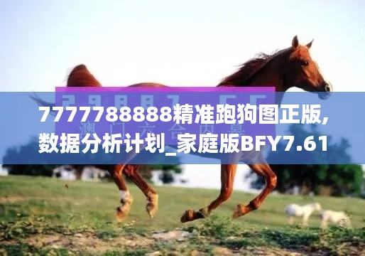 7777788888精准跑狗图正版,数据分析计划_家庭版BFY7.61