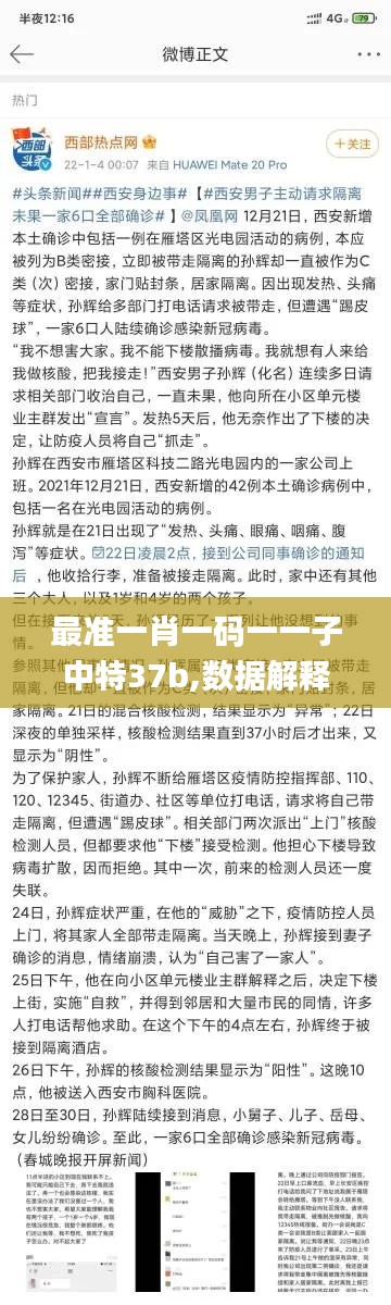 最准一肖一码一一子中特37b,数据解释说明规划_艺术版BNM7.80