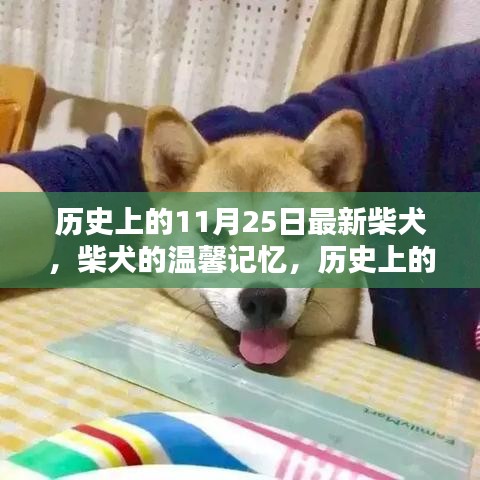 容光焕发 第31页